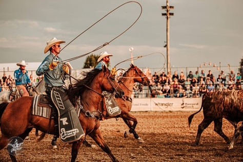 Grizzlies Rodeo